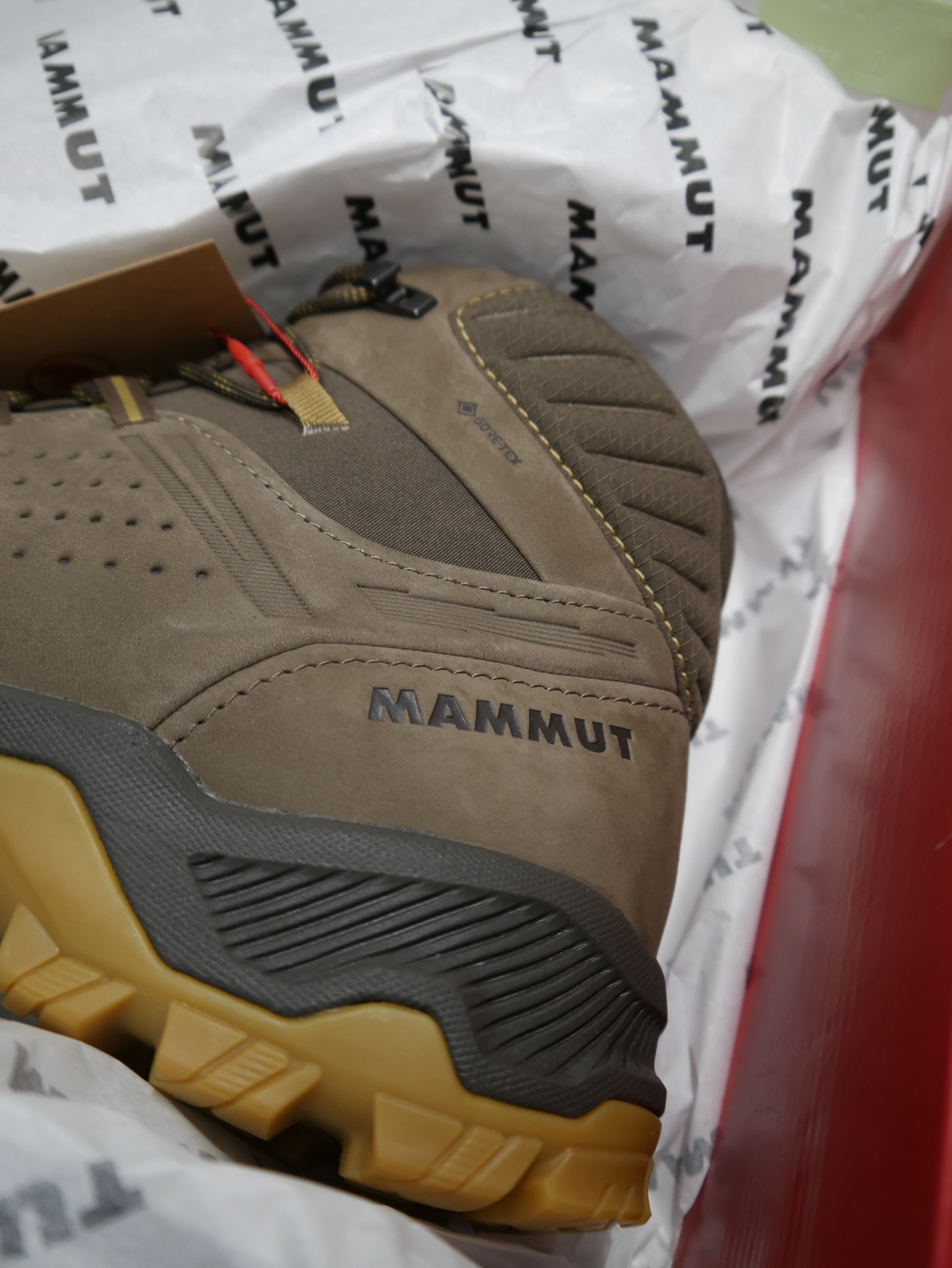 Mammut Mercury IV MID GTX
