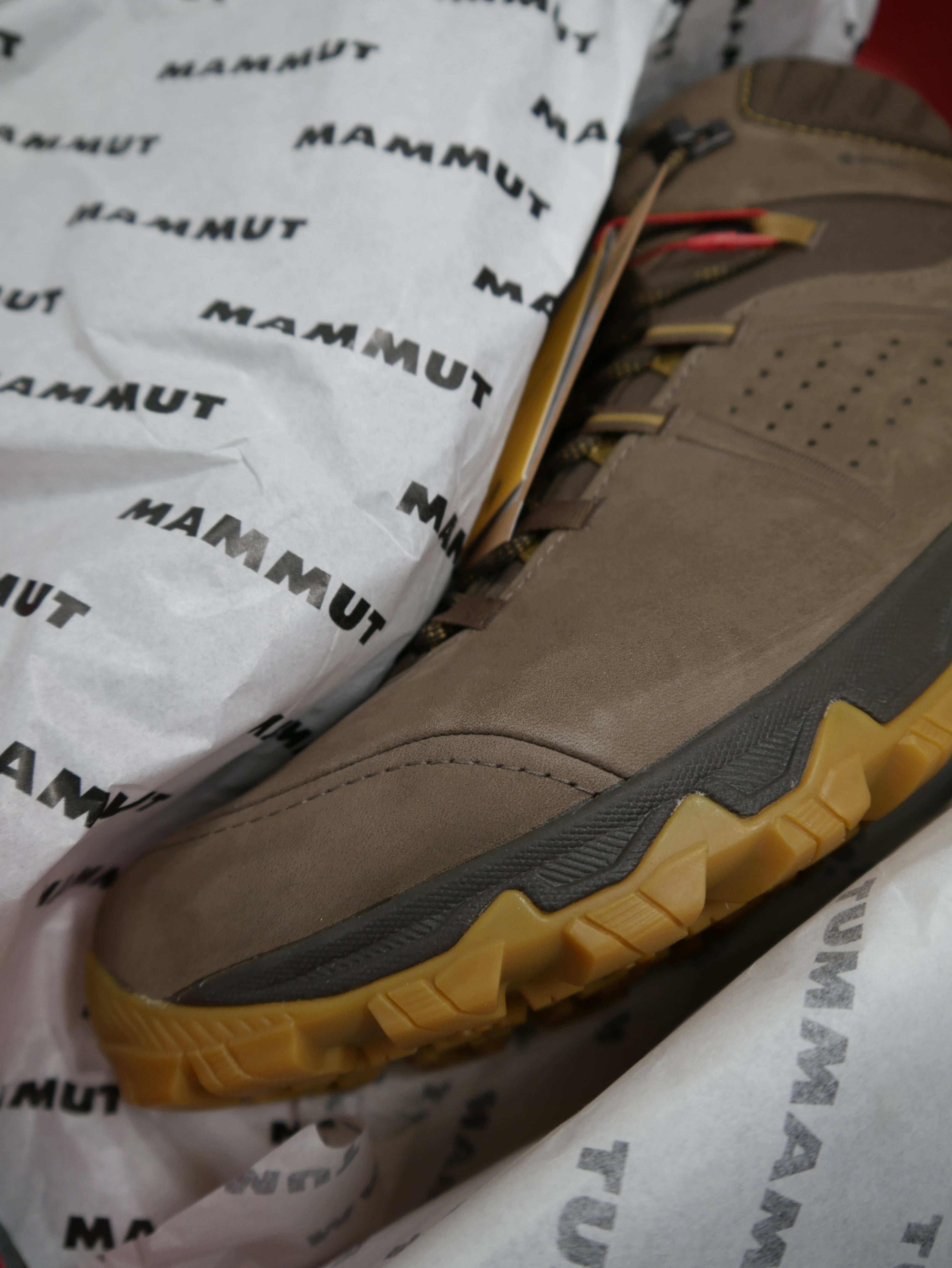 Mammut Mercury IV MID GTX